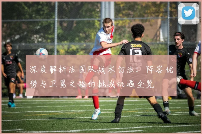 深度解析法国队战术打法：阵容优势与卫冕之路的挑战机遇全览